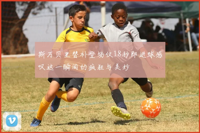 斯万贝里替补登场仅18秒即进球感叹这一瞬间的疯狂与美妙